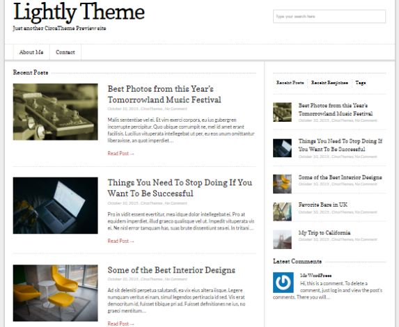 Lightly wordpress theme