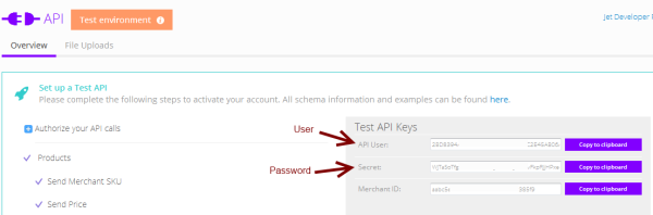 jet api key access